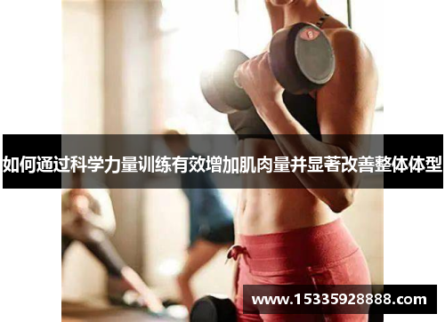 如何通过科学力量训练有效增加肌肉量并显著改善整体体型