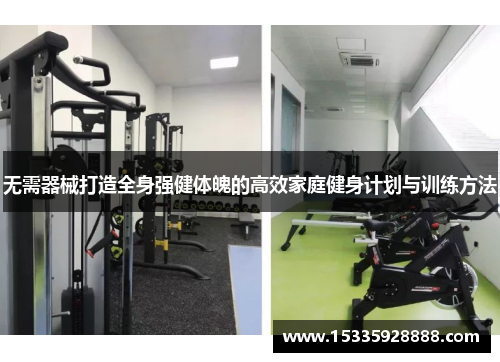 无需器械打造全身强健体魄的高效家庭健身计划与训练方法