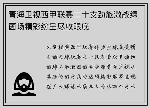 青海卫视西甲联赛二十支劲旅激战绿茵场精彩纷呈尽收眼底