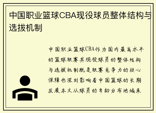 中国职业篮球CBA现役球员整体结构与选拔机制