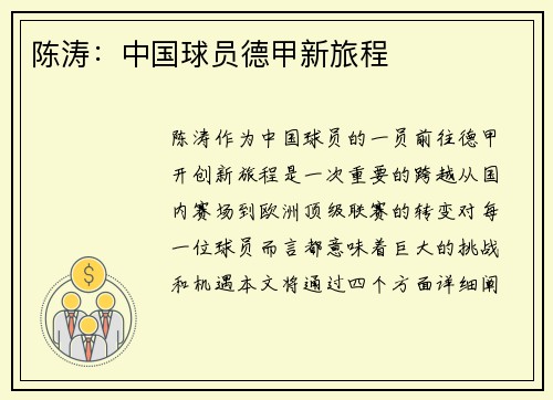 陈涛：中国球员德甲新旅程